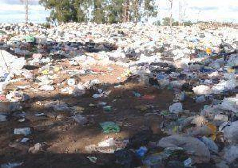 La empresa Girs S.A. estar�a desmantelando un galp�n