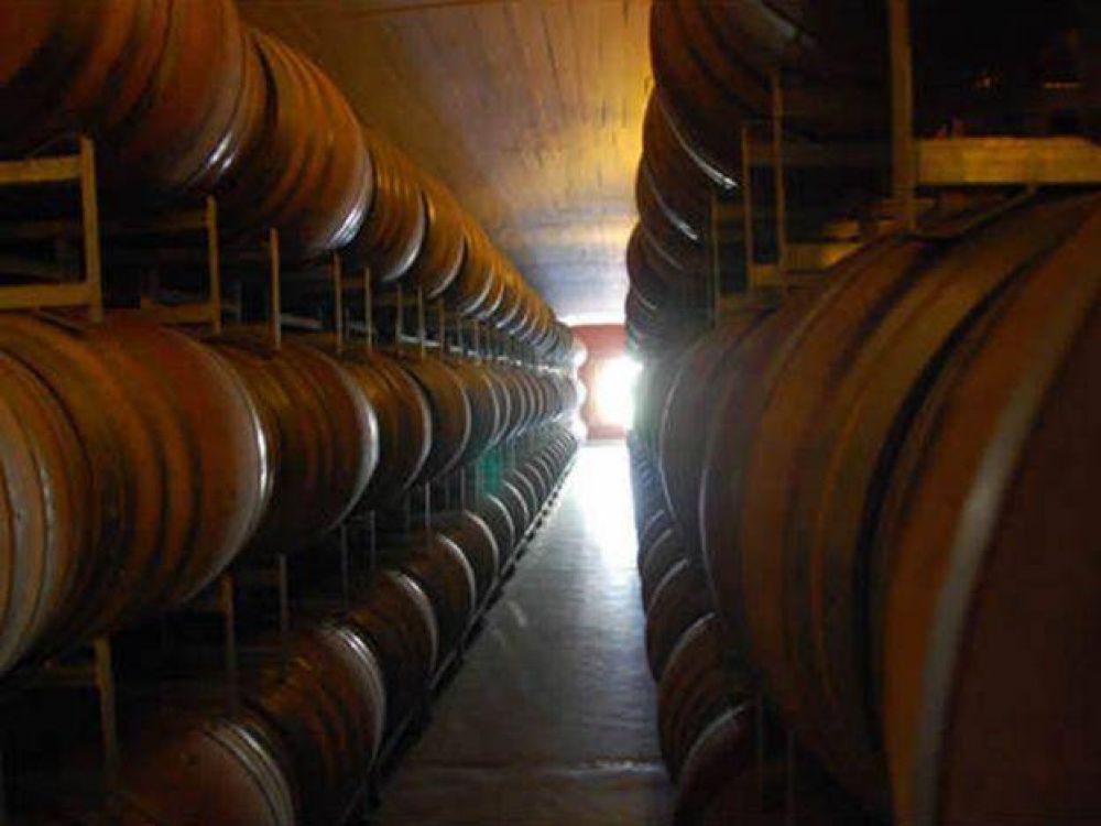 Bodegas mendocinas comenzaron a despedir trabajadores por la crisis del sector