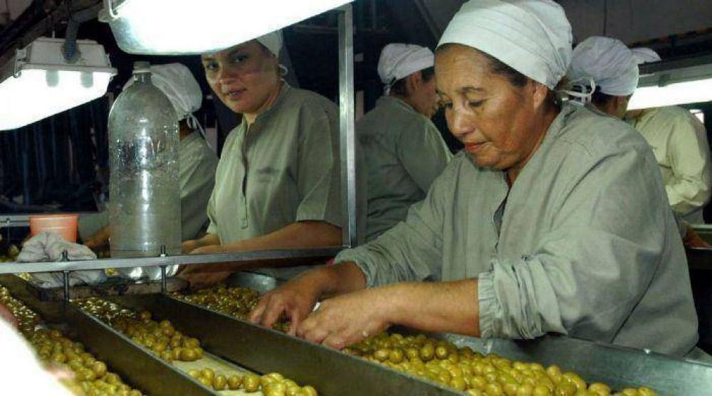 Una cosecha pobre y los altos costos amenazan a 700 empleados oliv�colas