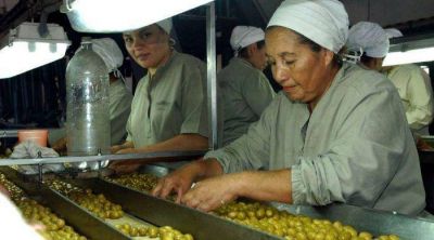 Una cosecha pobre y los altos costos amenazan a 700 empleados oliv�colas