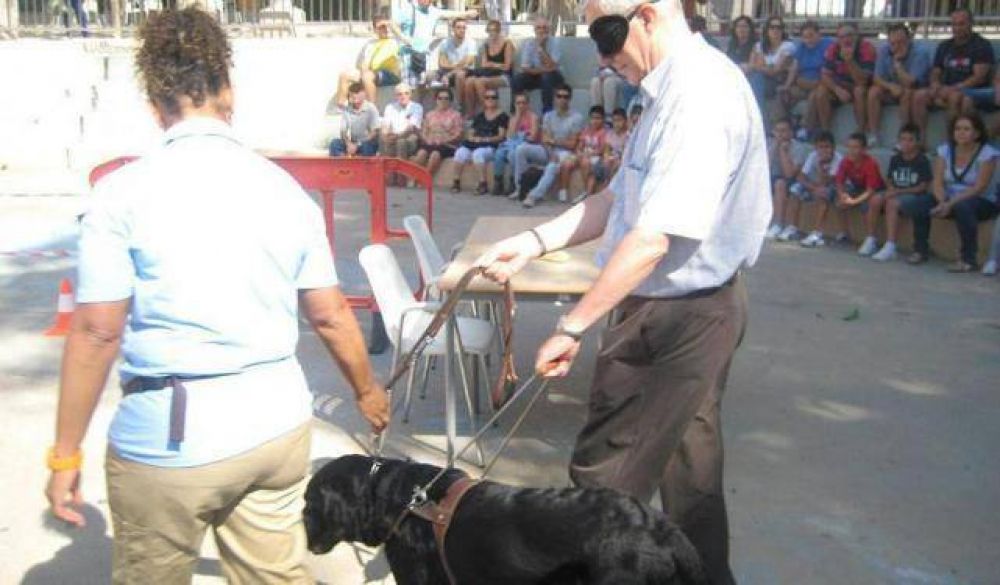 Se cumple un a�o de la ley que ampara a los perros �lazarillos�
