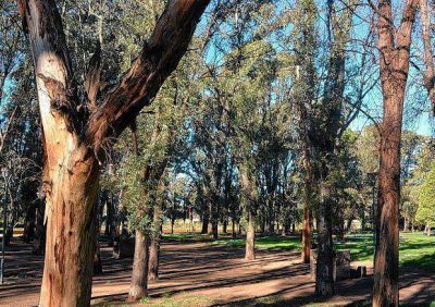 El municipio difundi� algunas restricciones en el Parque de Mayo