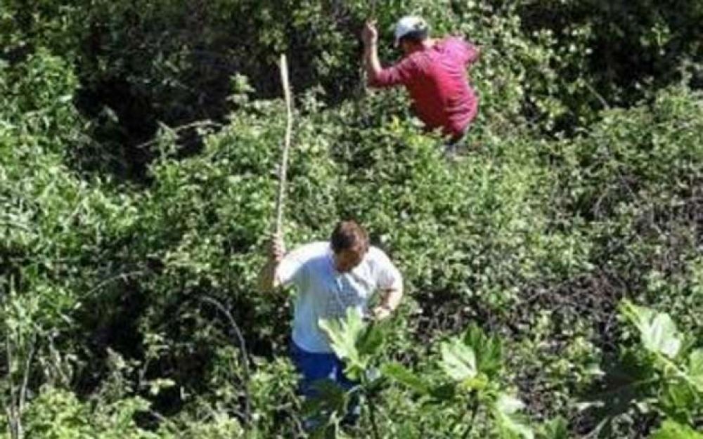 Encuentran a anciana tras doce horas de b�squeda
