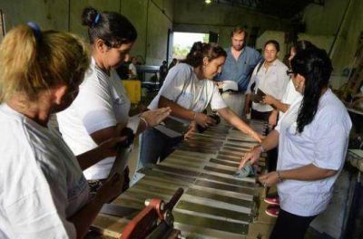 Ellas Hacen: preparadas para la inserci�n laboral