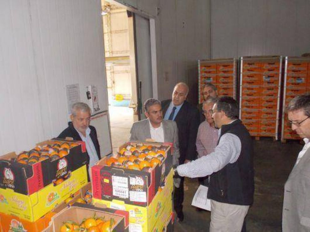 Expectativas para concretar negocios con los kuwait�es