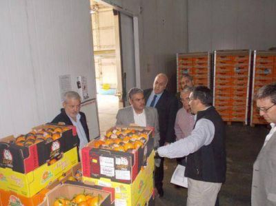 Expectativas para concretar negocios con los kuwait�es