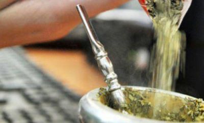 Determinan que la yerba mate ayuda a disminuir el colesterol