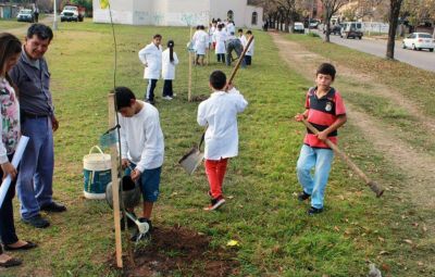 Plan de Arbolado 2014: comenz� la plantaci�n de especies sobre las veredas