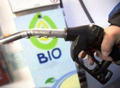 Biodi�sel: Torroba pide desgravaci�n impositiva