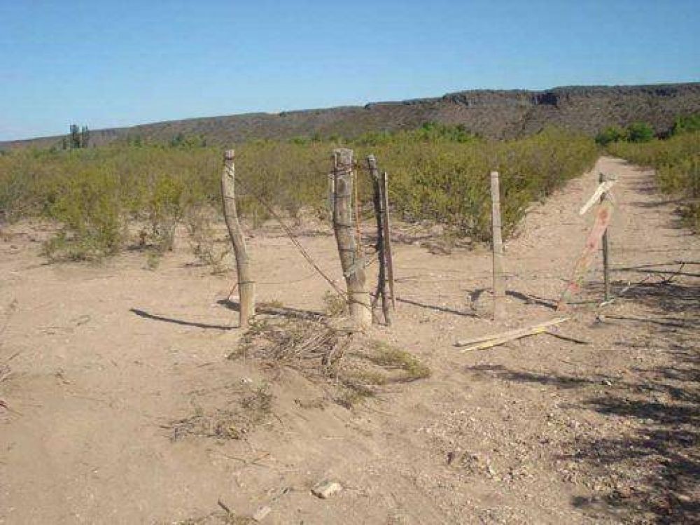 Alerta de puesteros en la zona de Cerro Nevado por alambrado de campos