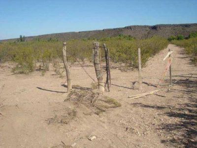 Alerta de puesteros en la zona de Cerro Nevado por alambrado de campos