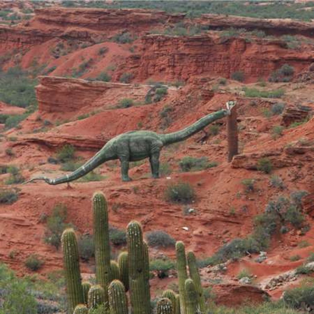 Presentan libro sobre la flora del Parque Geol�gico de Sanagasta