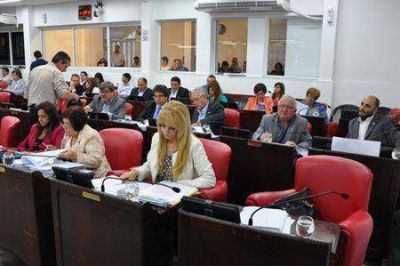 Aprobaron la promesa de lealtad a las constituciones nacional y provincial