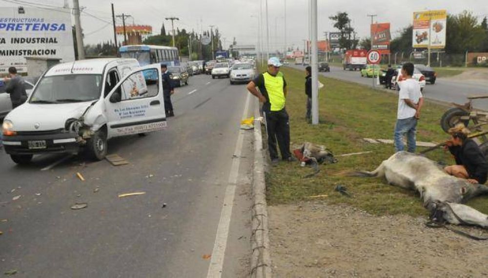 Carros en las calles, un serio peligro para el tr�nsito urbano