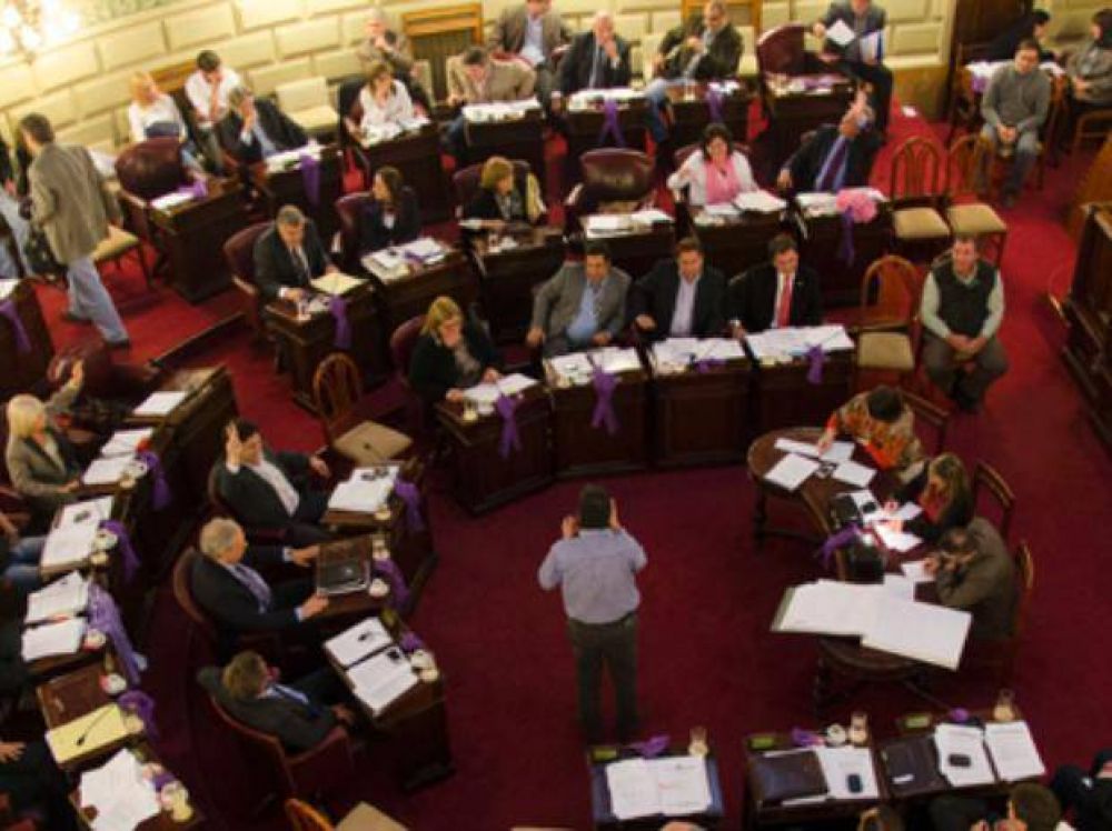 Diputados convirti� en ley la incorporaci�n de veteranos y cadetes a la fuerza policial