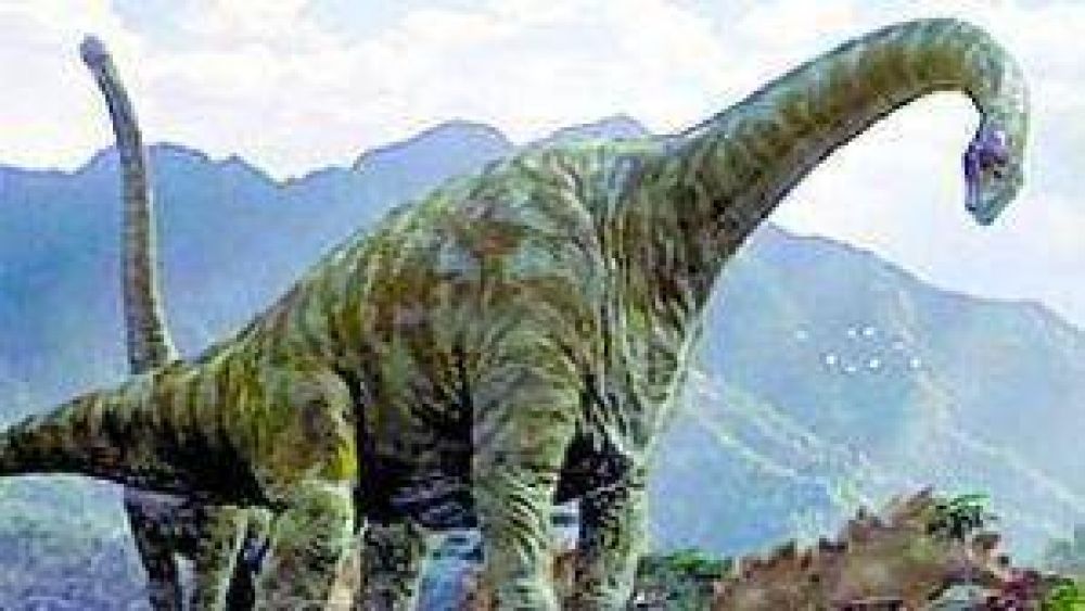 Gran hallazgo en Neuqu�n: Descubren restos de dinosaurio �nico en Sudam�rica. 