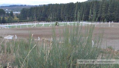 Otorgaron tierras en comodato a la Asociaci�n Club Uni�n Bariloche