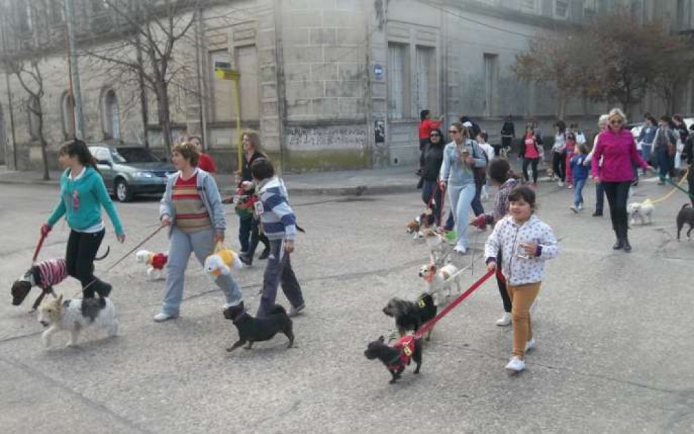 Nuestra ciudad celebr� su 1� caminata mascotera