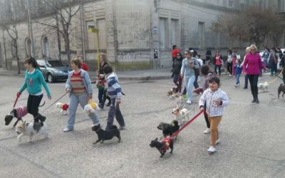 Nuestra ciudad celebr� su 1� caminata mascotera
