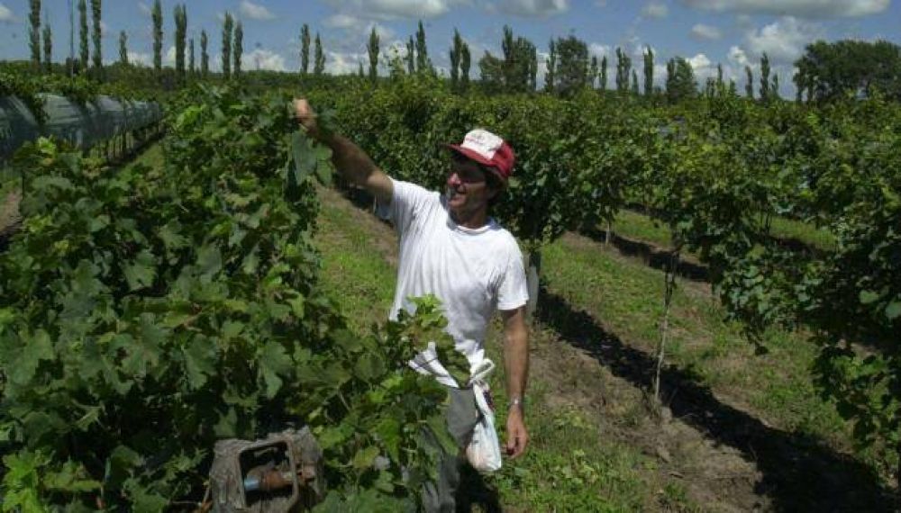 C�rdoba vuelve a apostar al vino