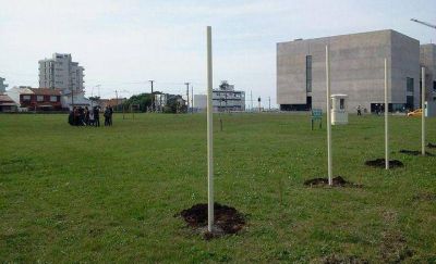 Canchita de los Bomberos: �Que la Justicia d� respuestas a la gente�