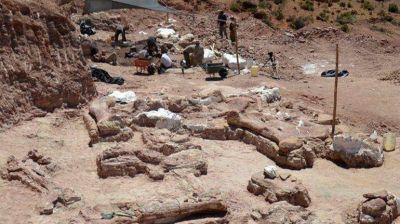 Encontraron m�s dinosaurios en Chubut y analizan si la zona es un cementerio paleontol�gico