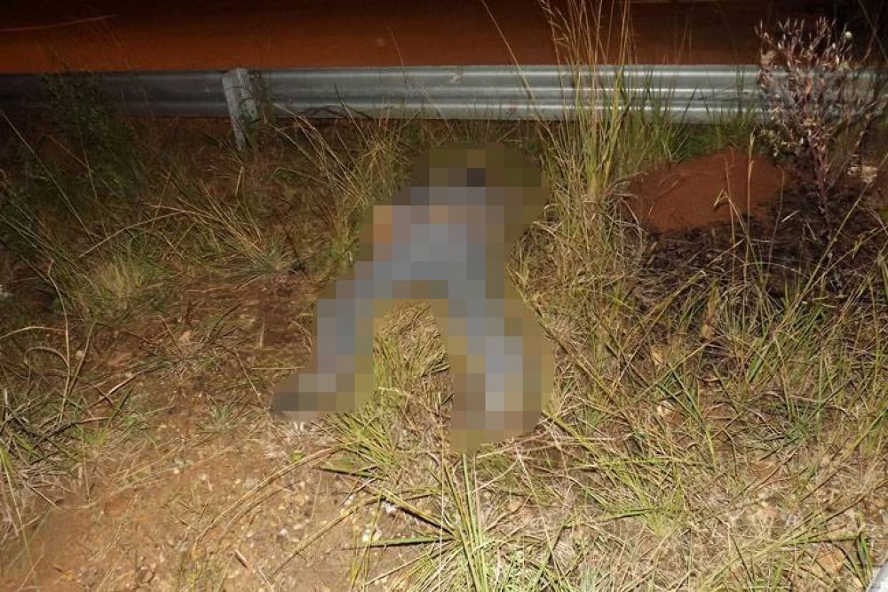 Un joven motociclista de 22 a�os falleci� al golpear su cabeza contra un guardarrail