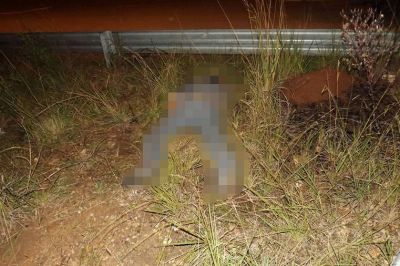Un joven motociclista de 22 a�os falleci� al golpear su cabeza contra un guardarrail
