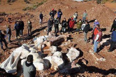 DESCUBRIERON EL DINOSAURIO M�S GRANDE DEL MUNDO EN LA MESETA CHUBUTENSE