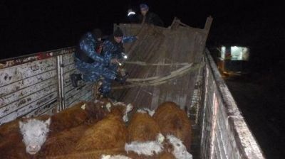 Intensos controles en zona rural, de chacras y caminos a establecimientos ganaderos
