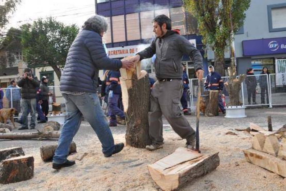 Realizaron esculturas en madera en plena Avenida Kirchner