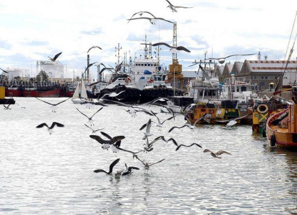 Ante posibles cortes en el ingreso al Puerto, Borelli pidi� �paciencia y serenidad�