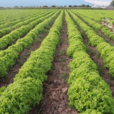 La provincia define detalles para aplicaci�n del programa de Desarrollo rural inclusivo