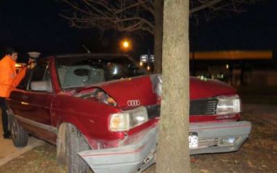 Alcoholizados y a alta velocidad se estrellaron contra un �rbol