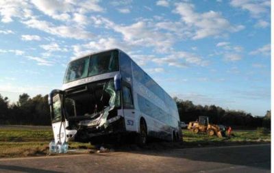 Un colectivero herido al chocar un caballo suelto en ruta 36