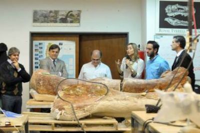 El dinosaurio m�s grande del mundo se difunde en medios internacionales