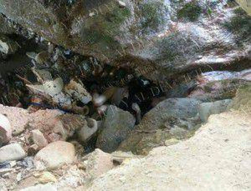 Encuentran sin vida a un indigente debajo del Puente Arga�araz