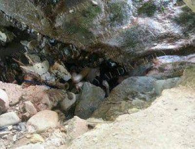 Encuentran sin vida a un indigente debajo del Puente Arga�araz