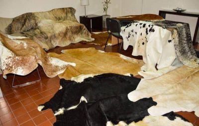 Recuperaron dos toneladas de cueros robados en C�rdoba