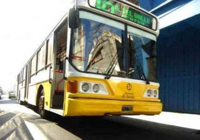 En diez d�as, todos los colectivos tendr�n un bot�n antip�nico