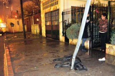 Perro muere electrocutado en la vereda en calle Ituzaing�