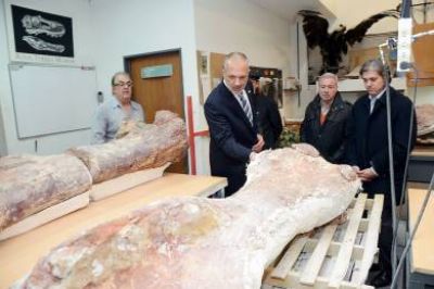 Dinosaurio gigante: Buzzi, �orgulloso por el trabajo de los investigadores�