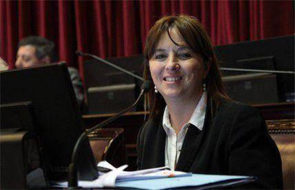 Odarda solicitar� boleta �nica para elecciones en R�o Negro