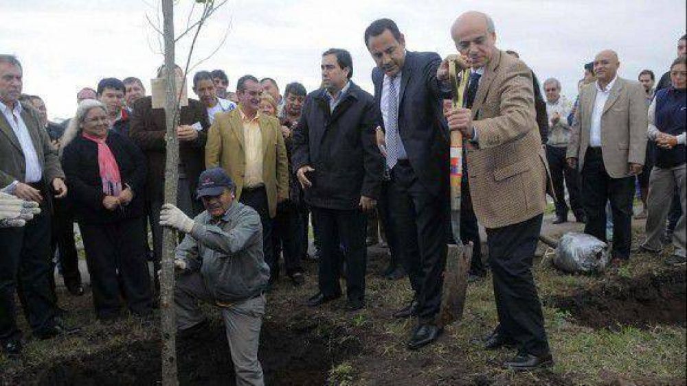 Contin�a el plan �Planta Vida� en Taf� Viejo
