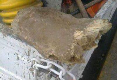 El hueso encontrado ayer en Mar del Plata pertenece a un Megatherium