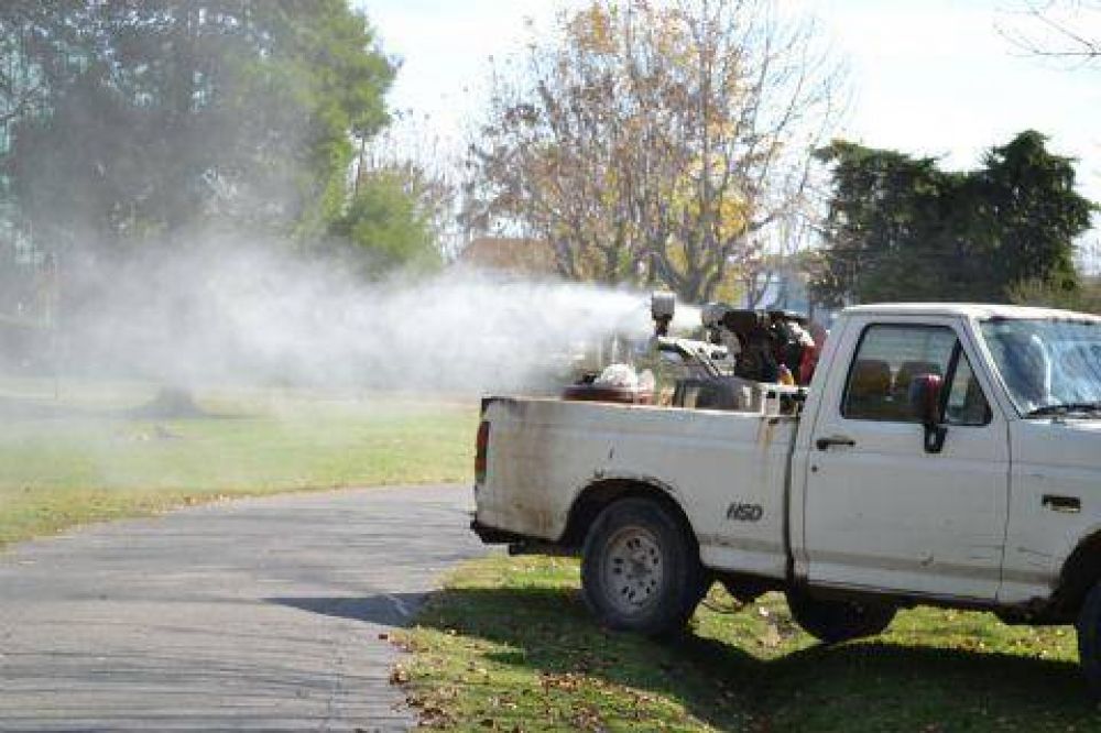 Contin�an las tareas de saneamiento ambiental en la ciudad