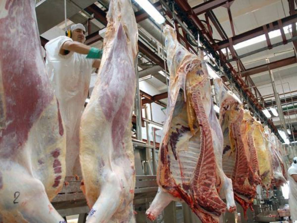 El consumo de carne baj� un 20% en los �ltimos dos meses