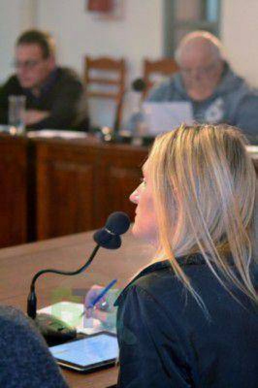 Antonijevic habl� de la sesi�n del HCD donde la oposici�n se impuso en todas las votaciones