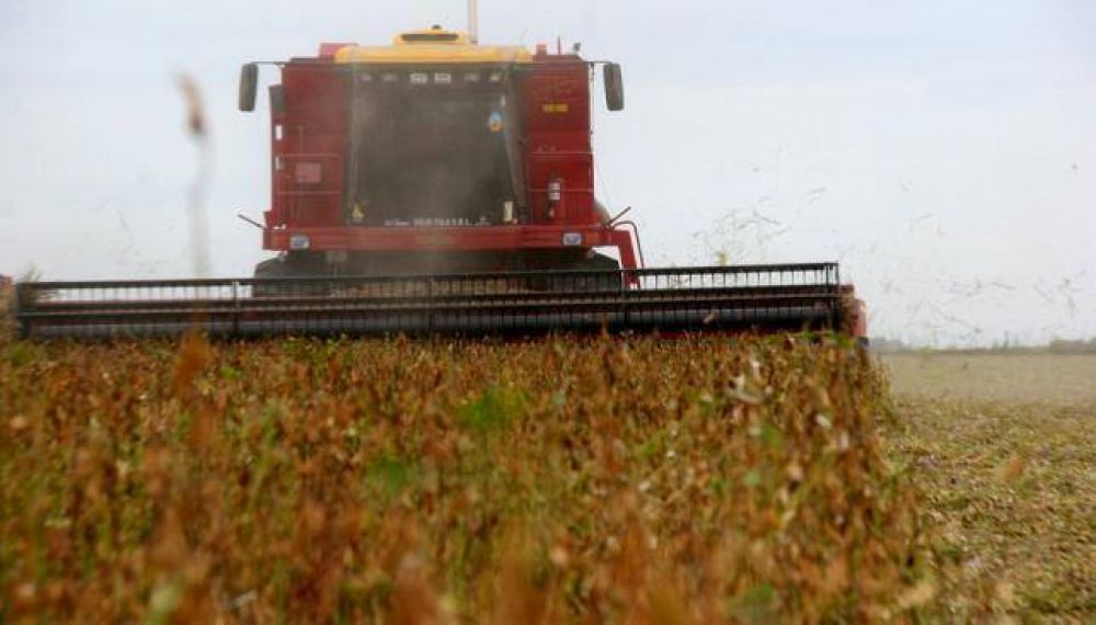 Confirman cosecha r�cord de soja en C�rdoba
