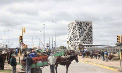 Carreros protestaron contra la ordenanza de prohibir la tracci�n a sangre